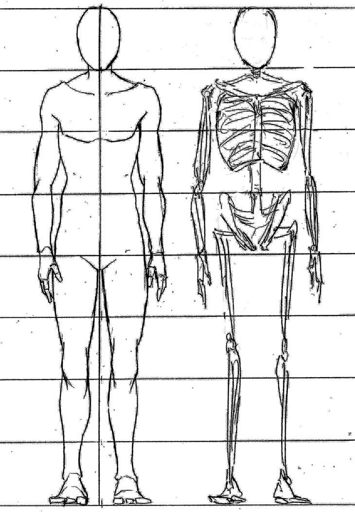 骨格・骨と肉