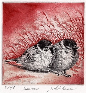copper engraving