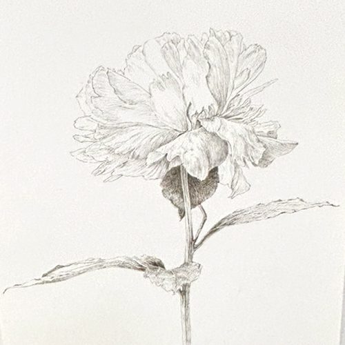 ペン画講座イメージ