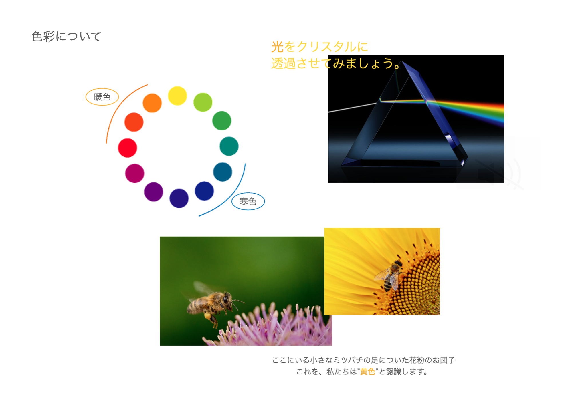 色彩