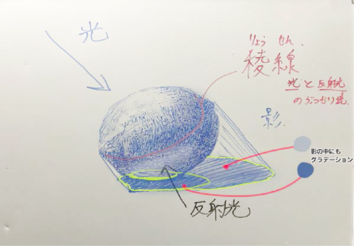 デッサン画